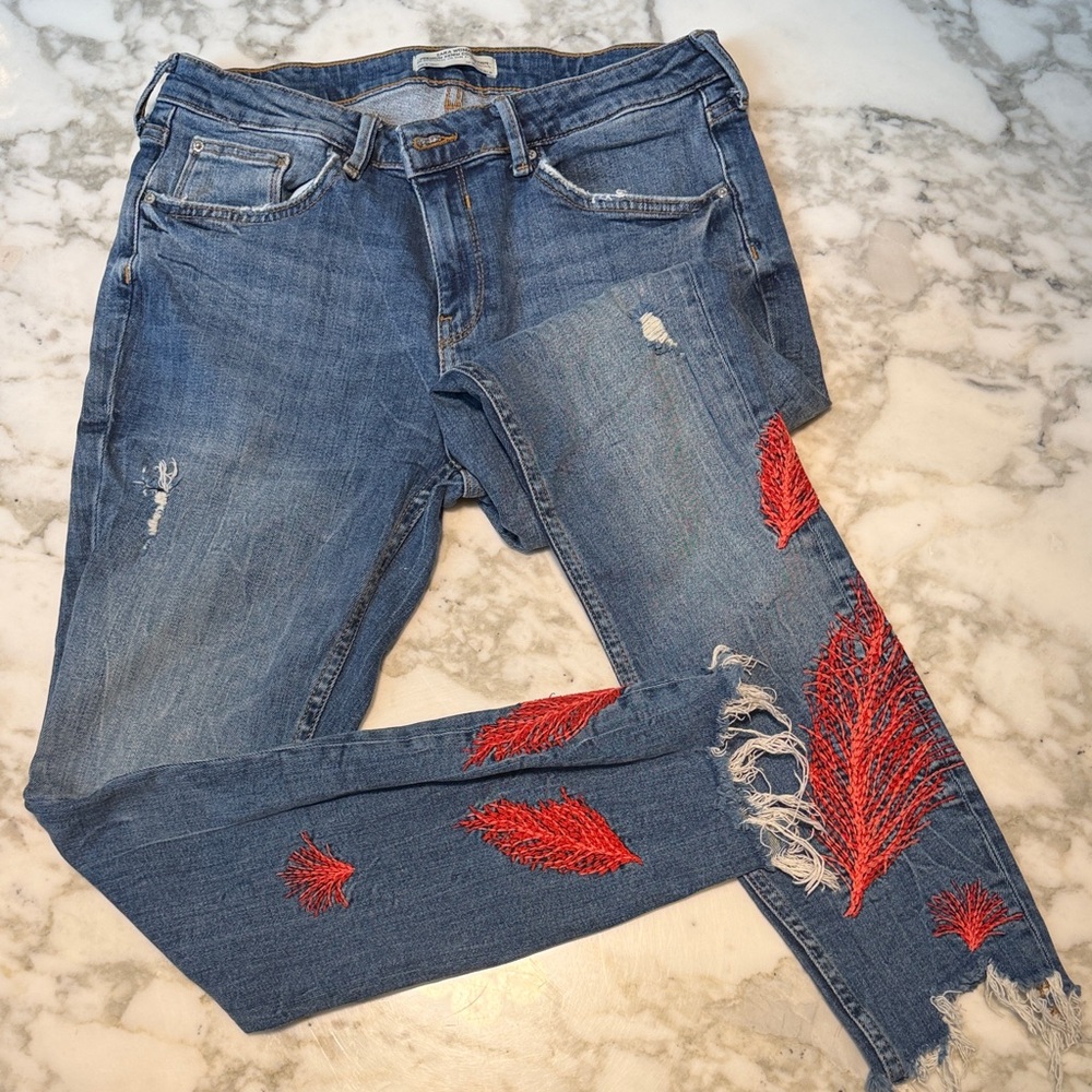 Zara Blue Skinny Jeans with Red Leaf Embroidery